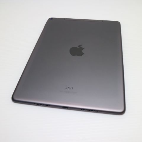  SIMե꡼ iPad Air 3 Cellular 256GB  ڡ쥤 