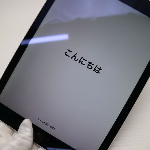 �¿��ݾ��� Ķ���� iPad Air 2 Wi-Fi 64GB ���ڡ������쥤  �������