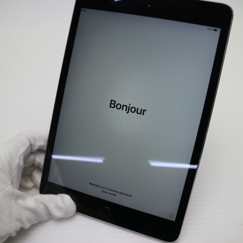 ¿ݾ Ķ iPad mini 3 Wi-Fi 64GB ڡ쥤  