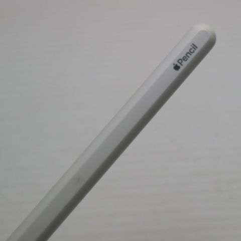 �¿��ݾ� Ķ���� Apple Pencil ��2���� MU8F2J/A (2018) ���å��ڥ�