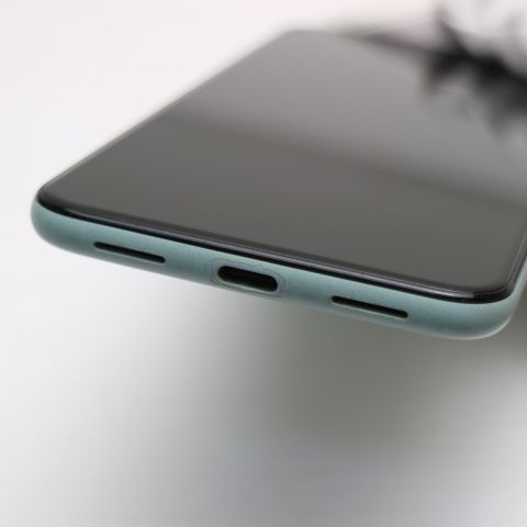 �¿��ݾ� ����Ʊ�� au Google Pixel 5 ������������ ¨��ȯ�� ������ȯ��