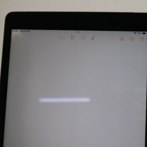 �¿��ݾ� ���� SIM�ե꡼ iPad ��9���� Wi-Fi+����顼  64GB ���ڡ������쥤