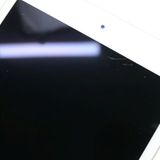 ���� SIM�ե꡼ iPad mini 5 Wi-Fi+����顼  64GB ����С�