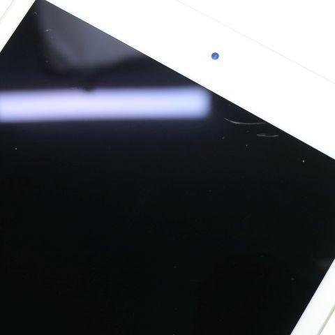 ���� SIM�ե꡼ iPad mini 5 Wi-Fi+����顼  64GB ����С�