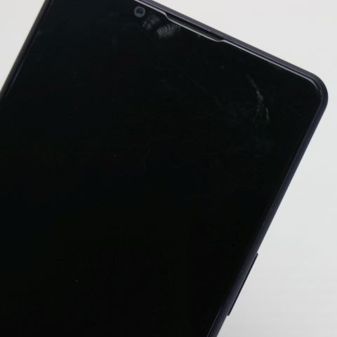 �¿��ݾ� ������� SO-51B Xperia 1 III �ե����ȥѡ��ץ� �����