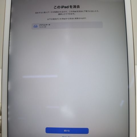 Ķ���� SIM�ե꡼ iPad Pro ��2���� 12.9����� Wi-Fi+����顼  64GB