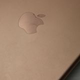 Ķ���� iPad mini 5 Wi-Fi 64GB �������