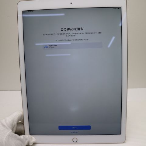 �¿��ݾ��� Ķ���� iPad Pro 12.9����� Wi-Fi 128GB �������  �������
