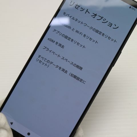 ¿ݾ Ķ SOG10 Xperia 1 V ֥å