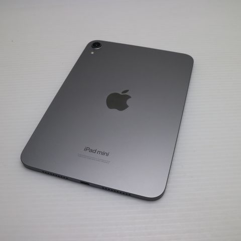 Ʊ iPad mini 7(A17 Pro)Wi-Fi 256GB ڡ쥤