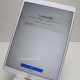 �¿��ݾ� Ķ���� iPad Pro 10.5����� Wi-Fi 512GB ������� ����