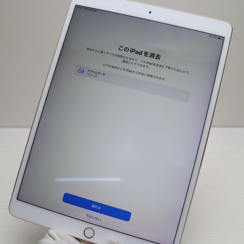 �¿��ݾ� Ķ���� iPad Pro 10.5����� Wi-Fi 512GB ������� ����