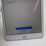 ������� SIM�ե꡼ iPad mini 5 Wi-Fi+����顼  64GB �������