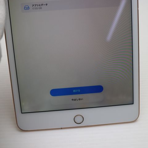 ������� SIM�ե꡼ iPad mini 5 Wi-Fi+����顼  64GB �������