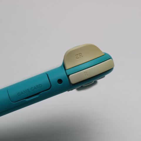 �¿��ݾ� ���� Nintendo Switch Lite ����������