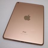 ���� SIM�ե꡼ iPad mini 5 Wi-Fi+����顼  64GB �������