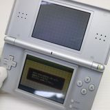 �¿��ݾ��� ���� �˥�ƥ�ɡ�DS Lite �饤�� ����С�  �������