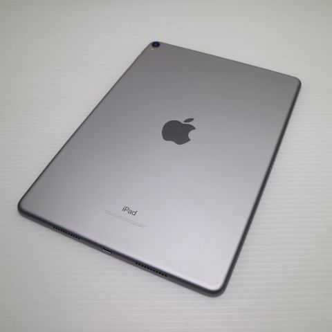 �¿��ݾ� Ķ���� iPad Pro 10.5����� Wi-Fi 256GB ���ڡ������쥤