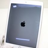 �¿��ݾ��� Ķ���� au iPad Air 2 Cellular ����顼 16GB �������