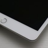 Ķ���� SIM�ե꡼ iPad mini 5 Wi-Fi+����顼  64GB ����С�