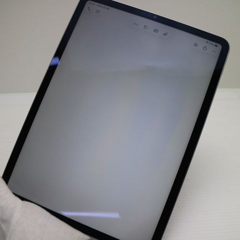 �¿��ݾ� Ķ���� iPad Pro ��4���� 11����� 256GB ���ڡ������쥤