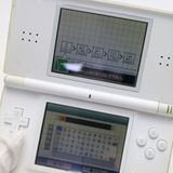 ¿ݾ  ˥ƥɡDS Lite 饤 ۥ磻  