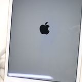�¿��ݾ��� ���� iPad mini 3 Wi-Fi 64GB �������  �������