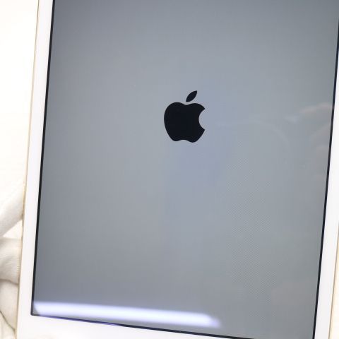 �¿��ݾ��� ���� iPad mini 3 Wi-Fi 64GB �������  �������