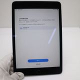 ���� SIM�ե꡼ iPad mini 5 Wi-Fi+����顼  64GB ���ڡ������쥤