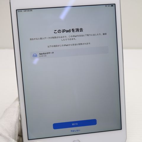 Ķ���� SIM�ե꡼ iPad mini 4 Cellular ����顼 128GB ����С�