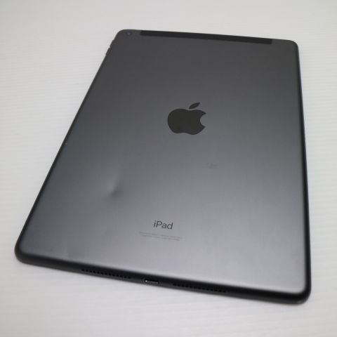 �¿��ݾ� ���� SIM�ե꡼ ��9���� Wi-Fi+Cellular 256GB ���ڡ������쥤