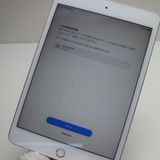 Ķ���� SIM�ե꡼ iPad mini 5 Wi-Fi+����顼  64GB ����С�