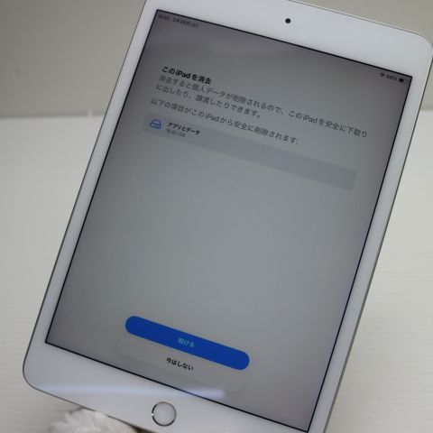 Ķ���� SIM�ե꡼ iPad mini 5 Wi-Fi+����顼  64GB ����С�