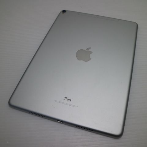 ¿ݾ  SIMե꡼ iPad Pro 10.5 256GB С