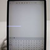 Ķ���� SIM�ե꡼ iPad Pro 11����� Wi-Fi+����顼  256GB ���쥤