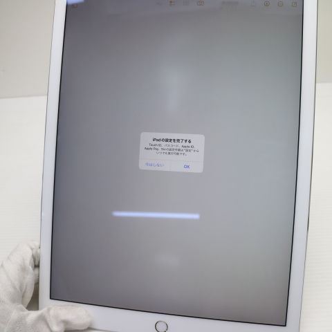 Ķ���� SIM�ե꡼ iPad Pro ��2���� 12.9����� Wi-Fi+����顼  256GB