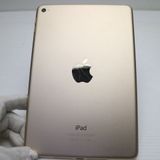 �¿��ݾ��� ���� iPad mini 4 Wi-Fi 64GB �������  �������