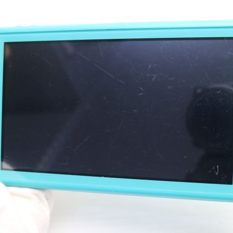 �¿��ݾ� ���� Nintendo Switch Lite ����������