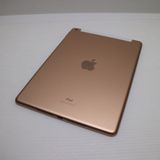 �ݾ� Ķ���� SIM�ե꡼ iPad7 ��7���� Wi-Fi+����顼  32GB  �������