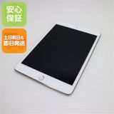 �¿��ݾ��� Ķ���� iPad mini 4 Wi-Fi 64GB �������  �������