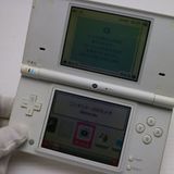 �¿��ݾ��� Ķ���� �˥�ƥ�ɡ�Dsi �ۥ磻��  �������