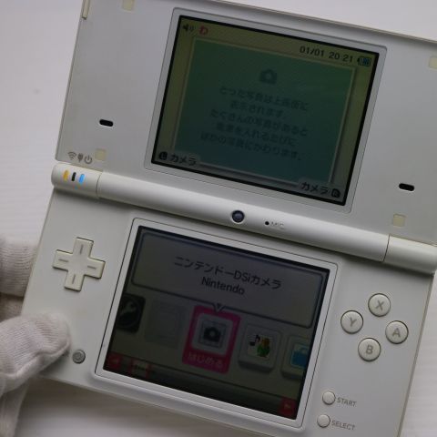 �¿��ݾ��� Ķ���� �˥�ƥ�ɡ�Dsi �ۥ磻��  �������