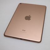 ����Ʊ�� iPad mini 5 Wi-Fi 64GB �������