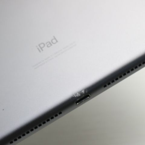 �¿��ݾ� Ķ���� iPad ��8���� Wi-Fi 128GB ���ڡ������쥤 ����������¨��ȯ��