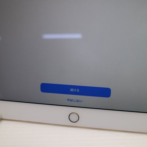 �¿��ݾ��� ���� SIM�ե꡼ iPad Pro 12.9����� ����顼 128GB �������