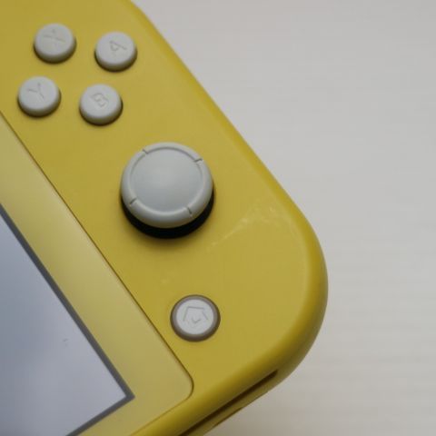 �¿��ݾ� Ķ���� Nintendo Switch Lite ��������
