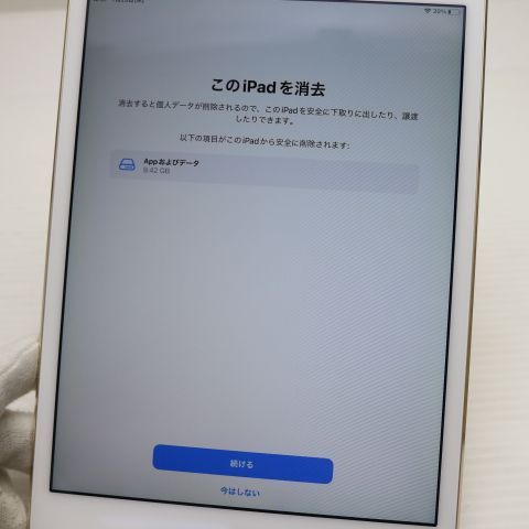Ķ���� SIM�ե꡼ iPad mini 4 Cellular ����顼 128GB �������