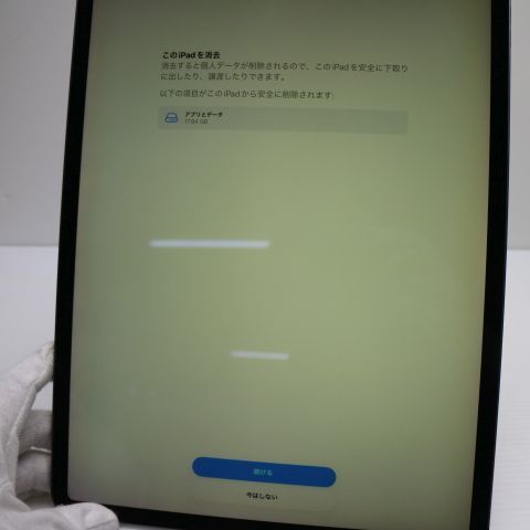 Ķ���� SIM�ե꡼ iPad Pro ��4���� 12.9����� Wi-Fi+����顼  256GB