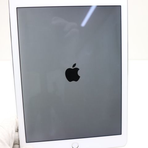 �¿��ݾ� Ķ���� iPad Pro 9.7����� Wi-Fi 32GB ����С� ����