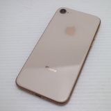 �¿��ݾ��� Ķ���� SIM�ե꡼ iPhone8 256GB �������  �������